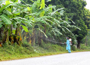 Phun thuốc diệt muỗi nơi có nguy cơ bùng phát dịch sốt xuất huyết tại xã Tân Vinh (Lương Sơn).